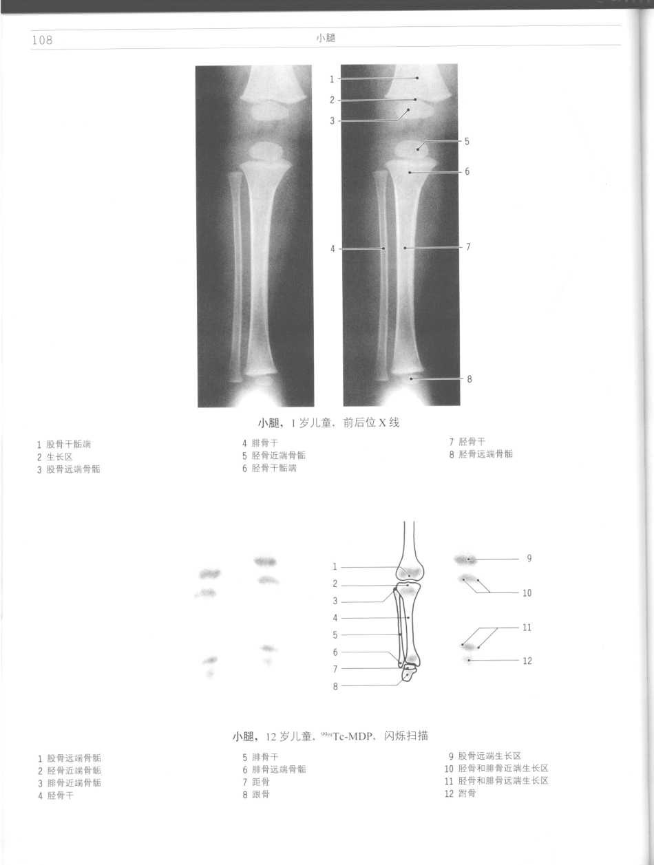影像解剖学_11724881_109-120.pdf_第2页