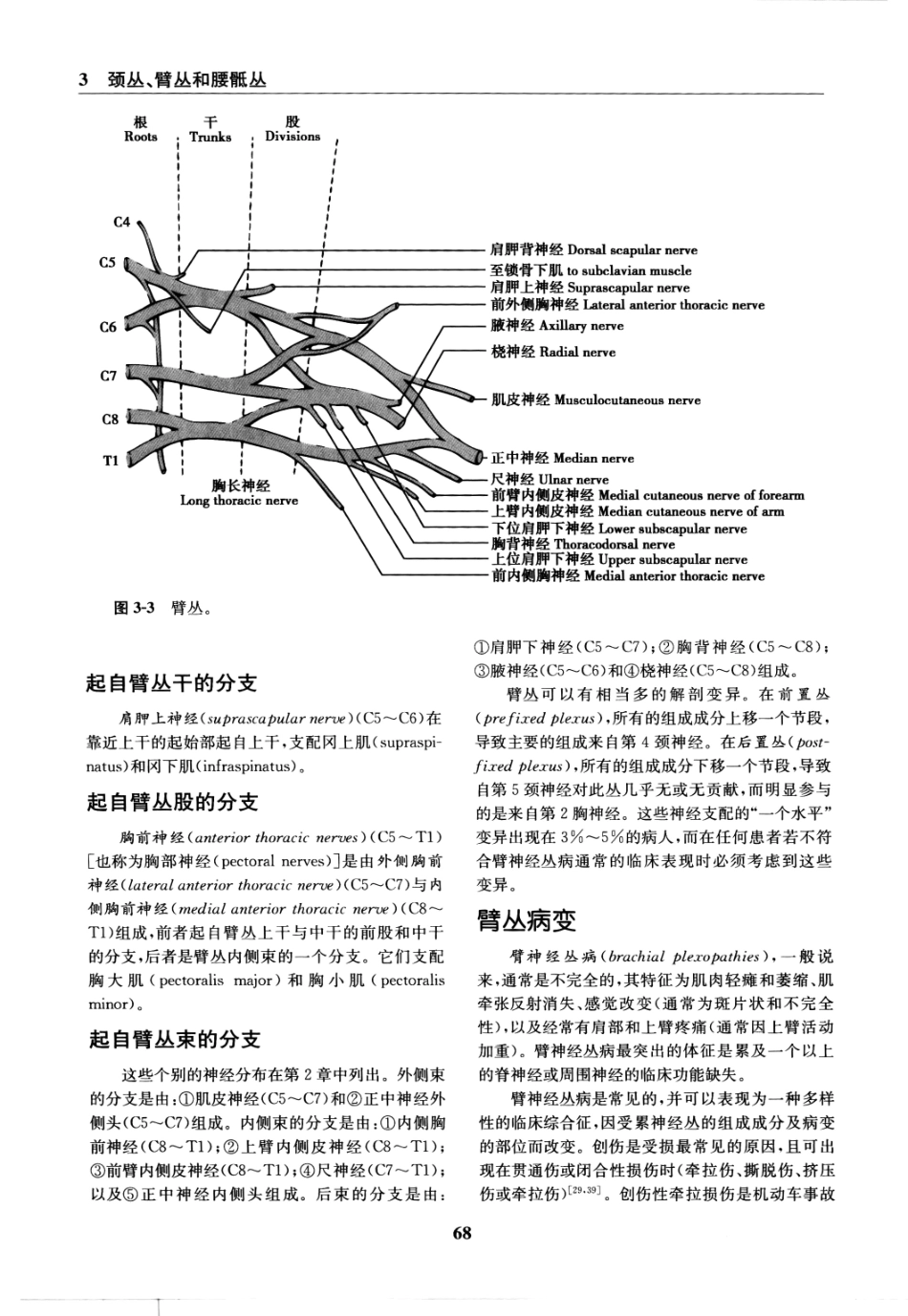 临床神经病学定位++第6版_13196861_76-90.pdf_第2页