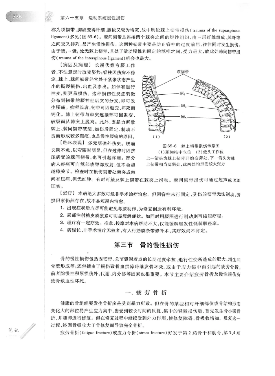 02.外科学（第8版）_776-800.pdf_第2页