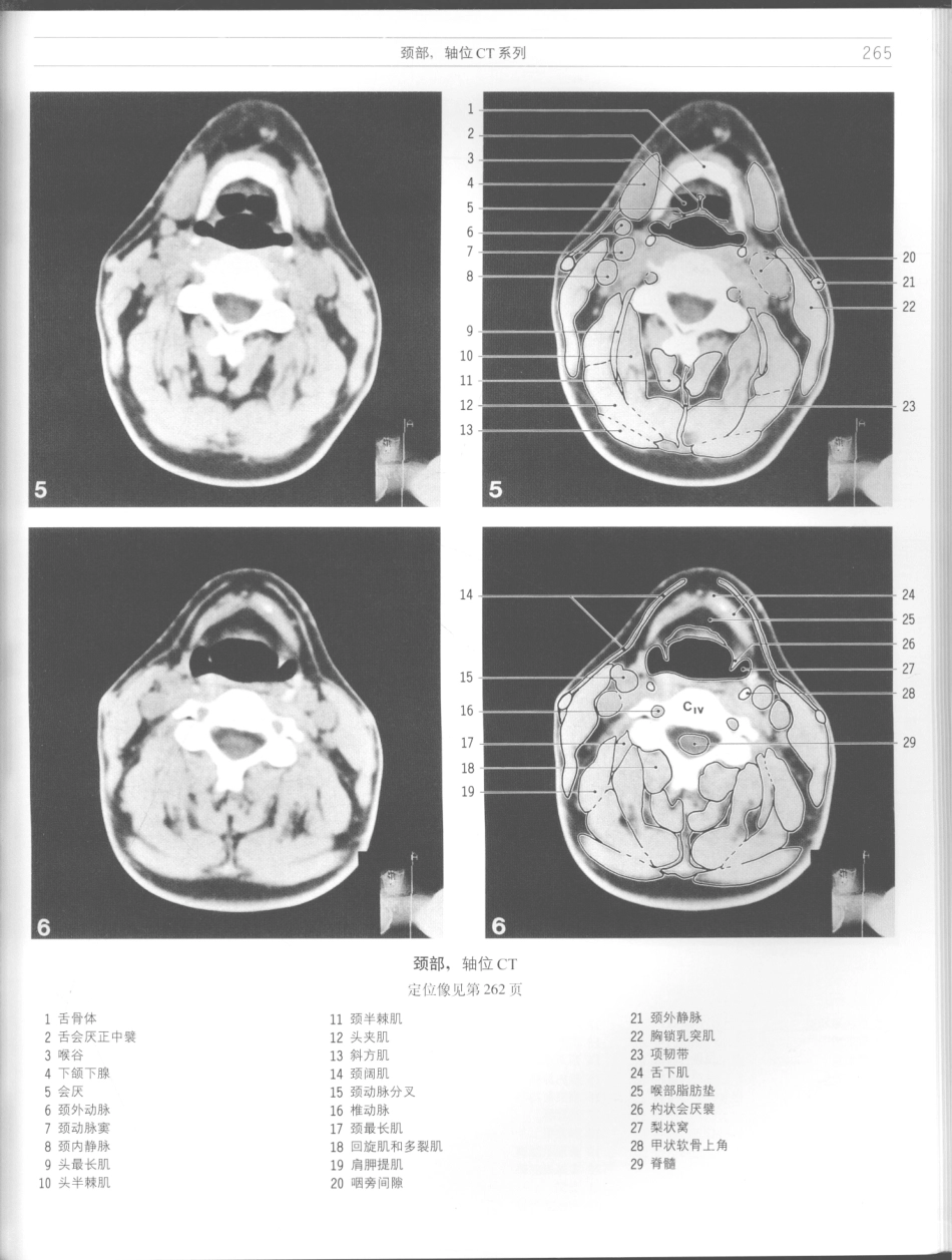 影像解剖学_11724881_265-276.pdf_第3页