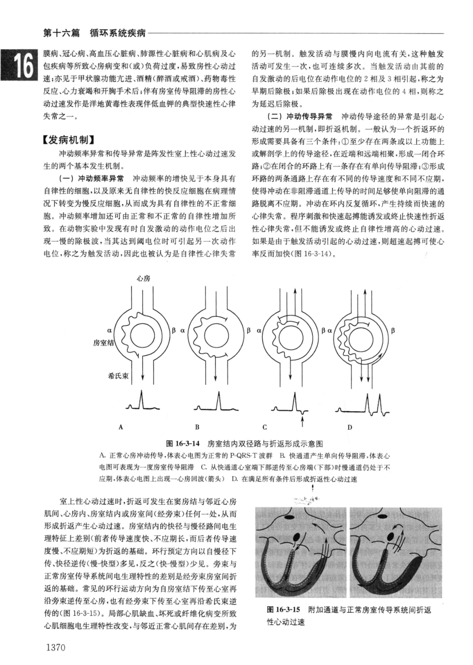 实用内科学++第14版++下_13442380_61-90.pdf_第2页