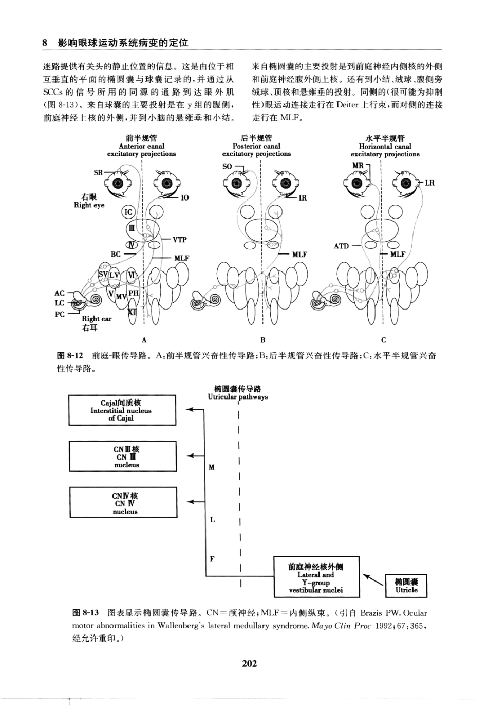 临床神经病学定位++第6版_13196861_211-225.pdf_第1页