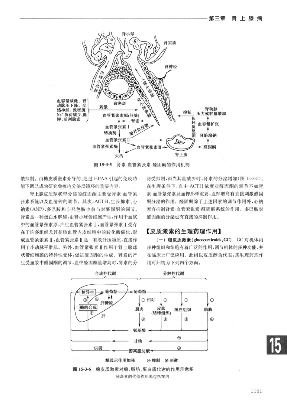 实用内科学++第14版++上_13442332_1176-1200.pdf_第3页