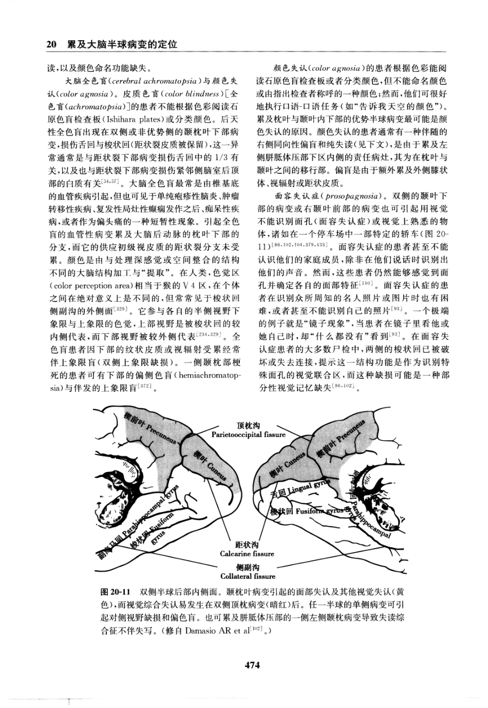 临床神经病学定位++第6版_13196861_481-495.pdf_第3页