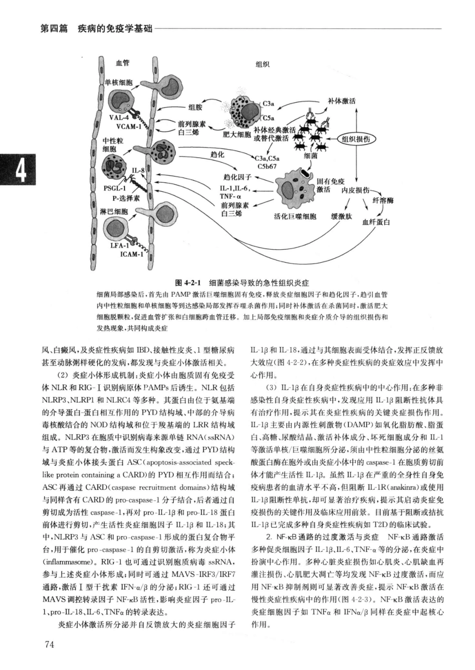 实用内科学++第14版++上_13442332_101-125.pdf_第1页