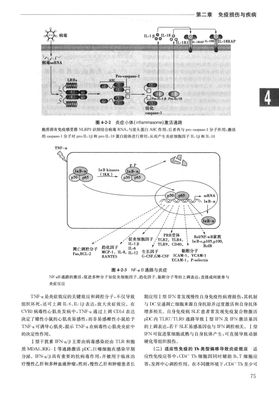 实用内科学++第14版++上_13442332_101-125.pdf_第2页
