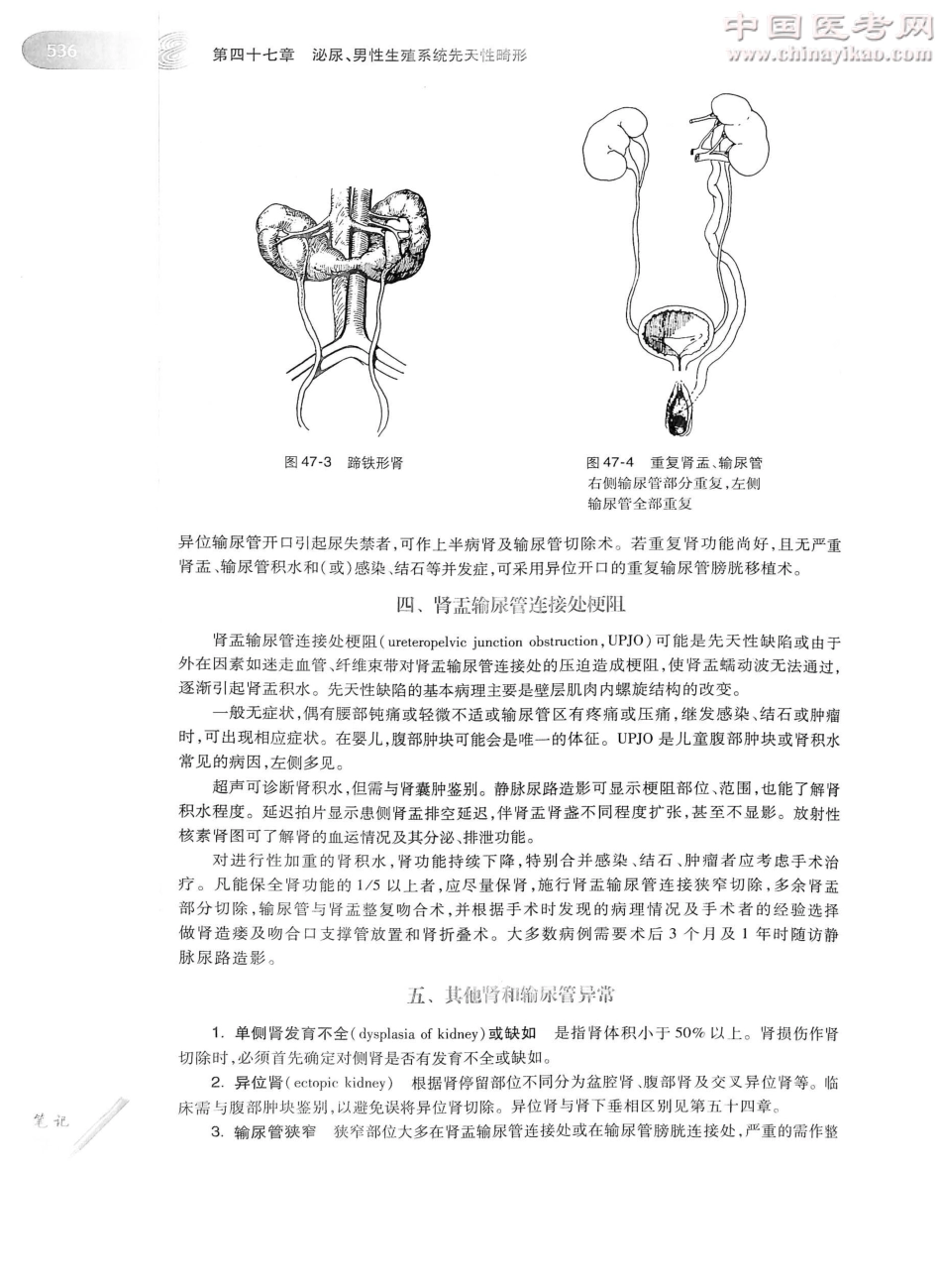 外科学（第8版）完整版-www.bbyxy.]_576-600.pdf_第2页