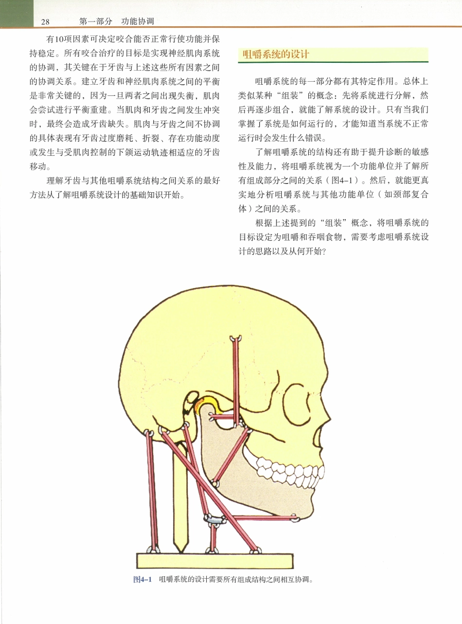 功能牙合学 从颞下颌关节到微笑设计2015年译(彩图)张豪_46-60.pdf_第1页