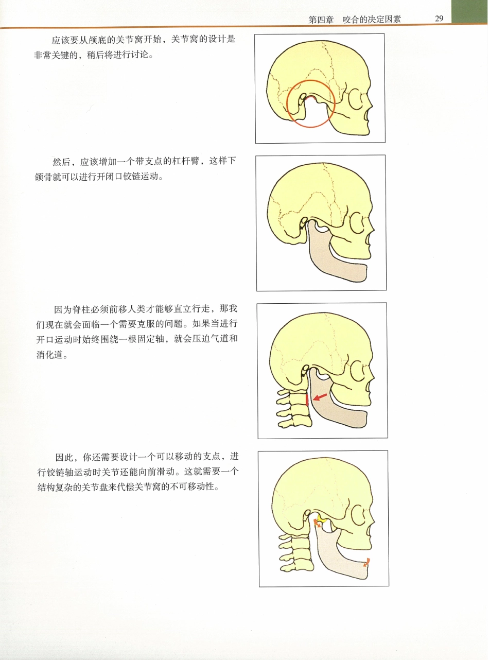 功能牙合学 从颞下颌关节到微笑设计2015年译(彩图)张豪_46-60.pdf_第2页