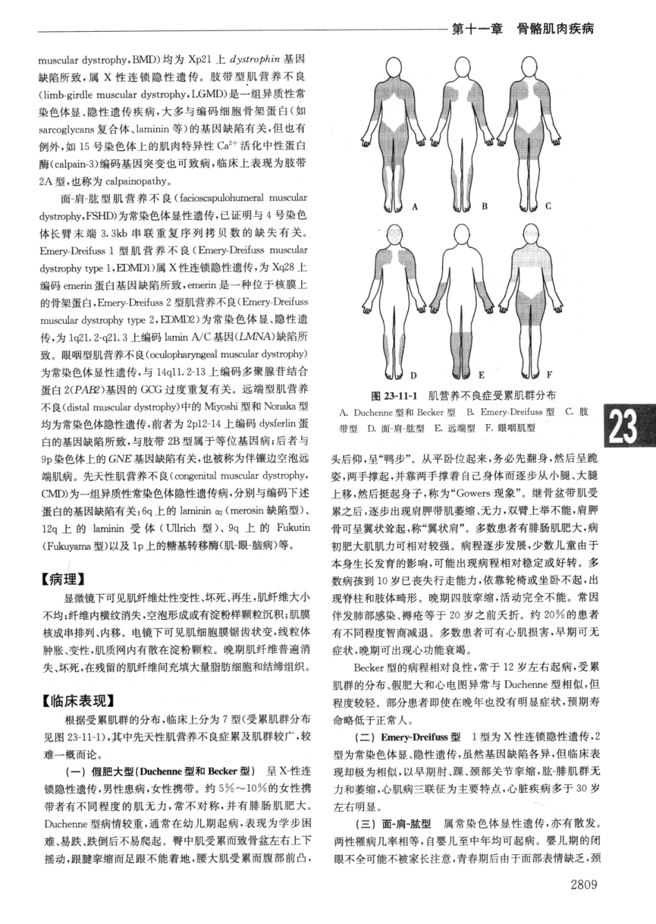 实用内科学++第14版++下_13442380_1501-1530.pdf_第1页