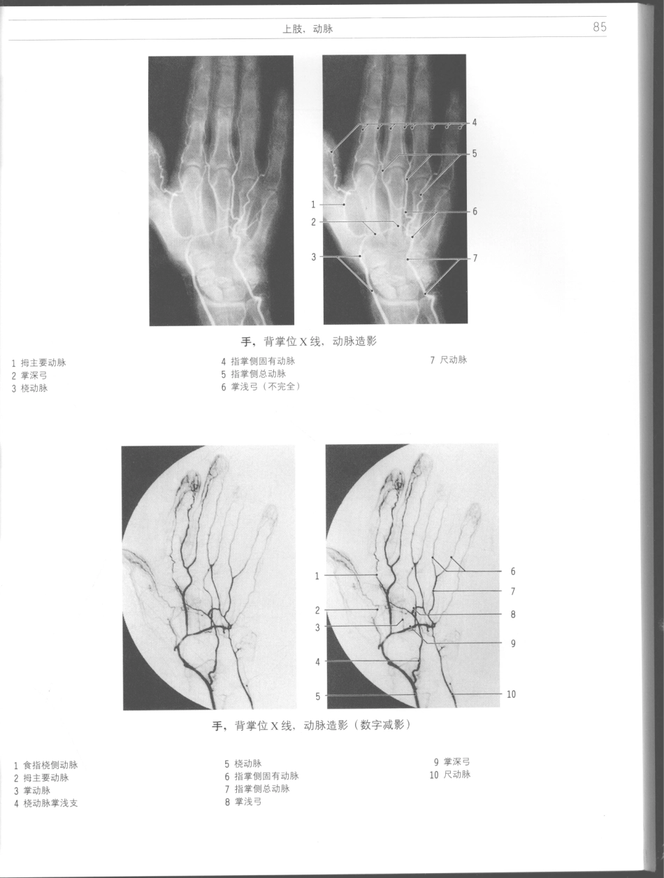 影像解剖学_11724881_85-96.pdf_第3页