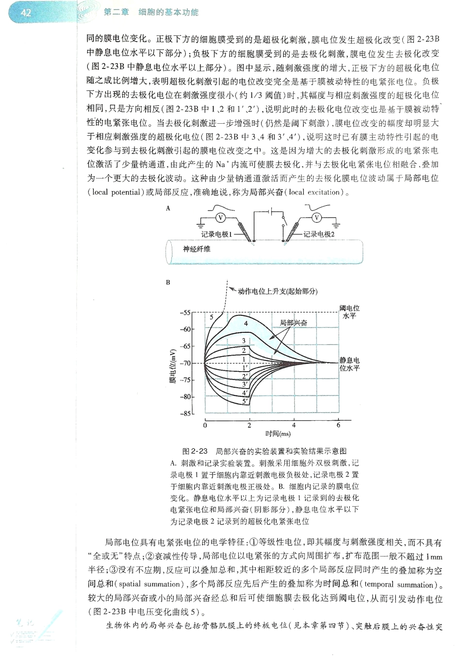 生理学（第八版）_49-56.pdf_第2页