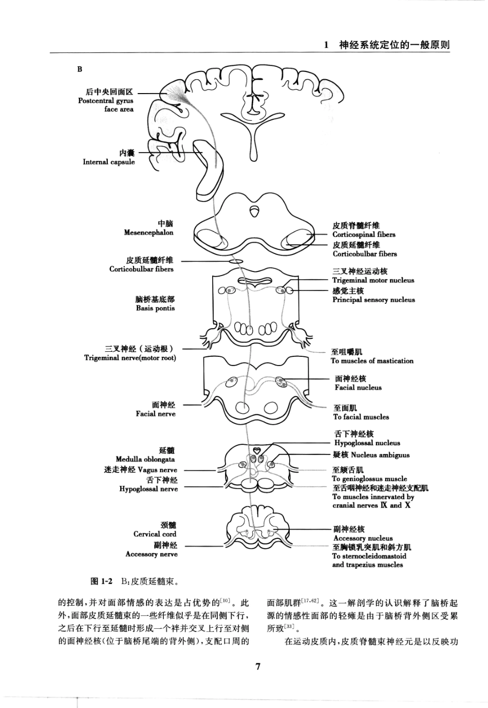 临床神经病学定位++第6版_13196861_16-30.pdf_第1页