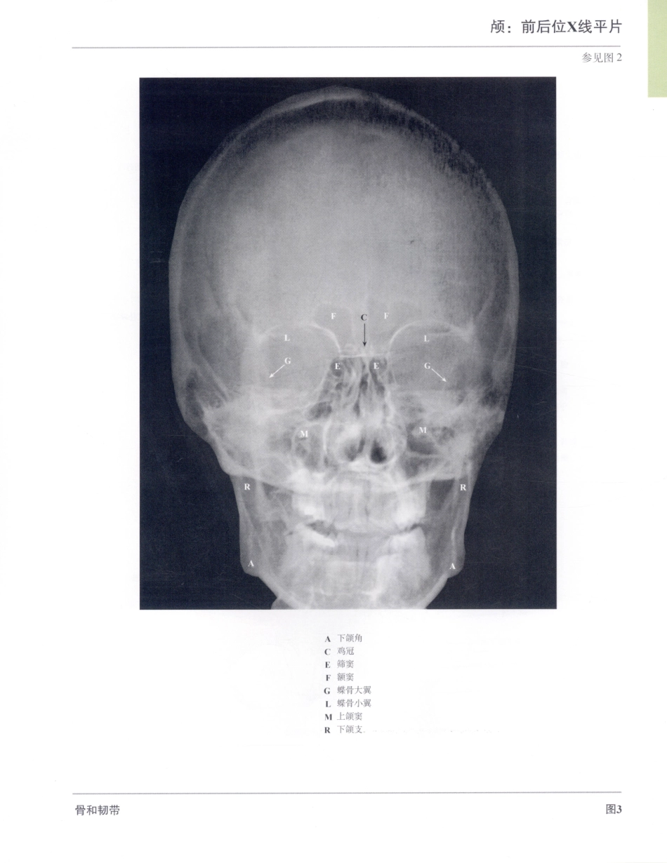 奈特人体解剖彩色图谱（第3版）_31-45.pdf_第3页