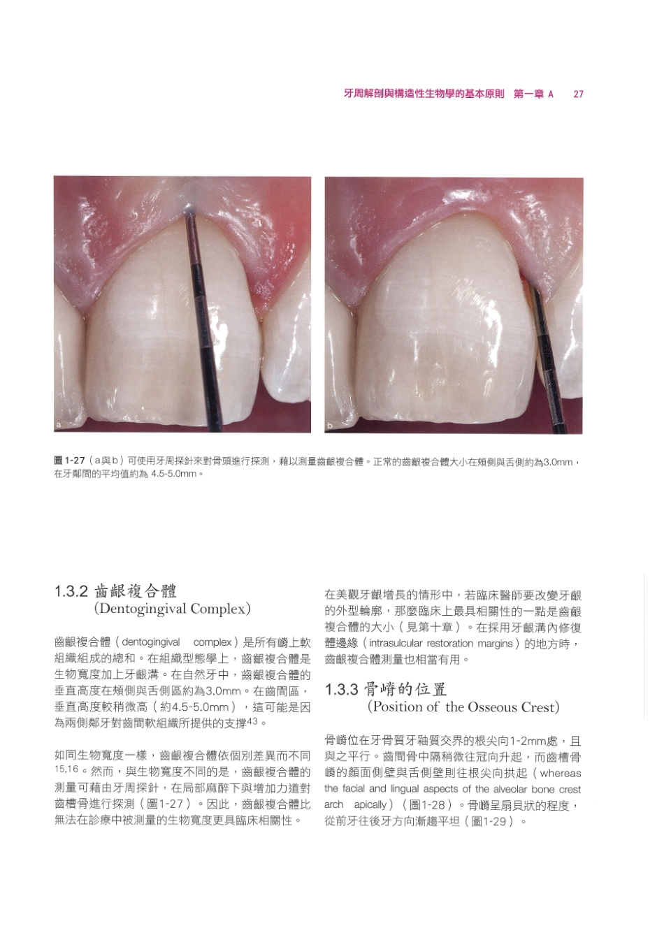 179.牙周整形美容与种植手术_41-48.pdf_第1页