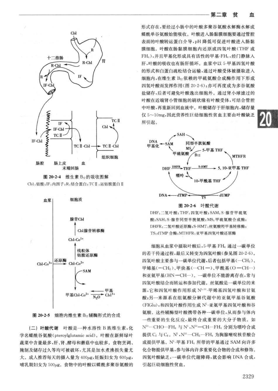 实用内科学++第14版++下_13442380_1021-1050.pdf_第1页