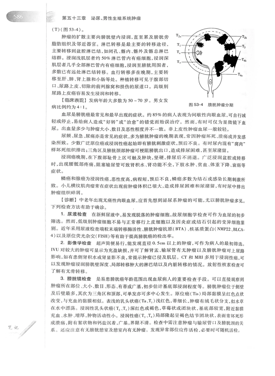 02.外科学（第8版）_626-650.pdf_第2页