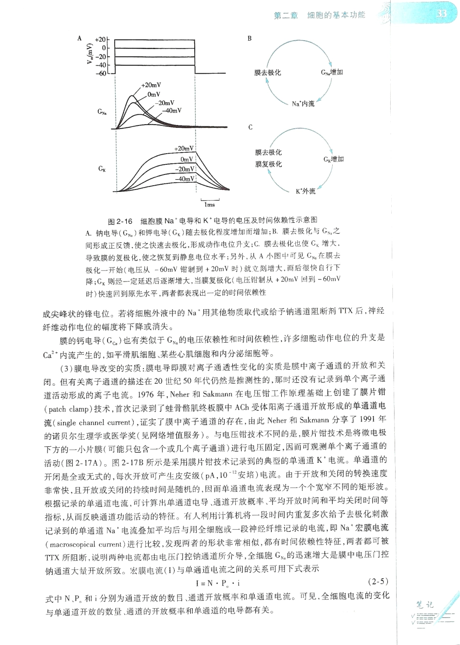 生理学（第八版）_41-48.pdf_第1页