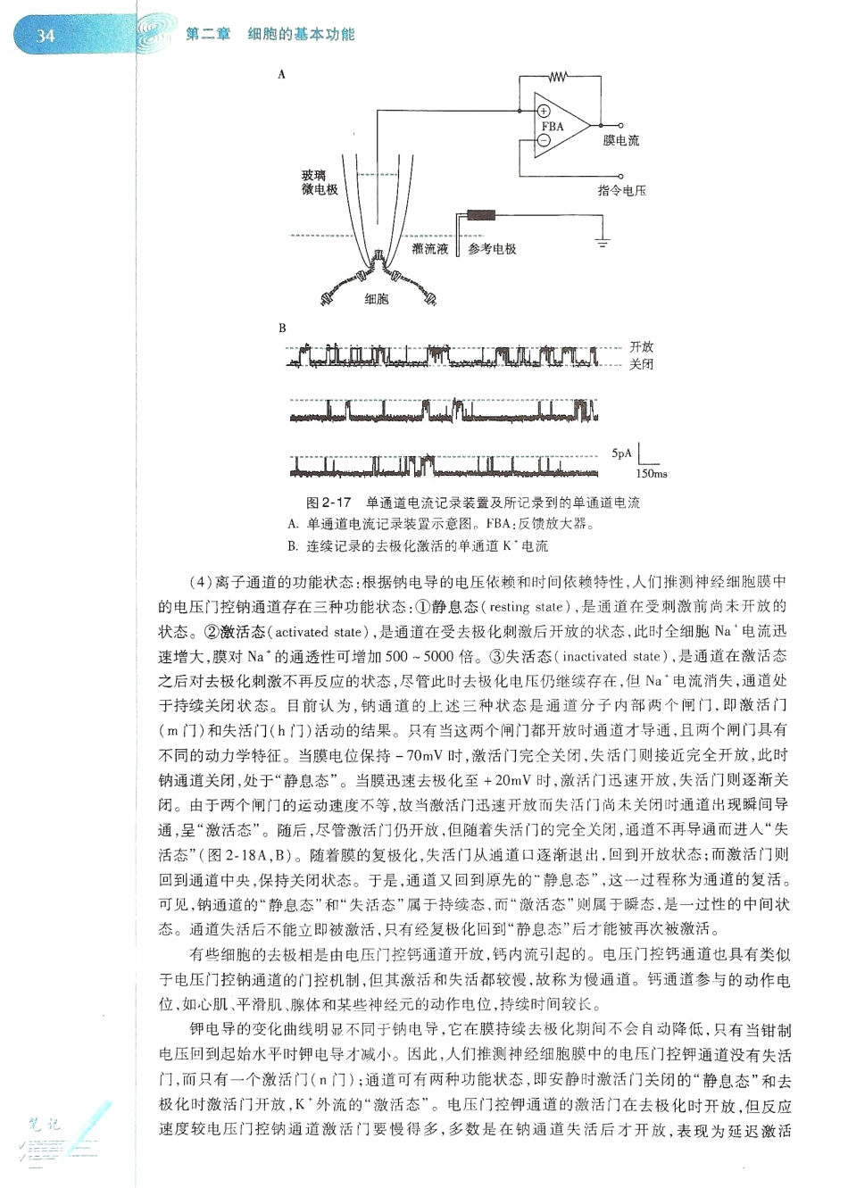 生理学（第八版）_41-48.pdf_第2页