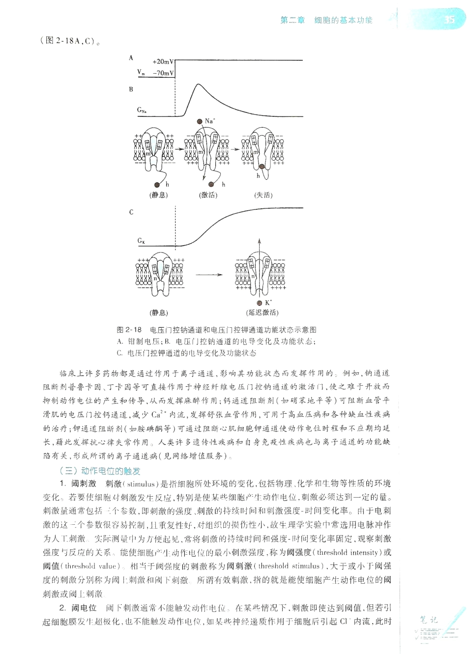 生理学（第八版）_41-48.pdf_第3页