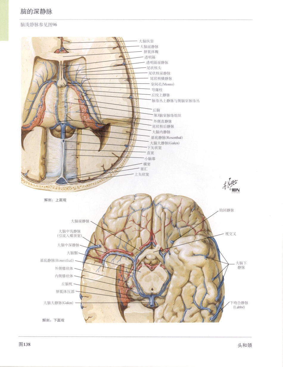 奈特人体解剖彩色图谱（第3版）_166-180.pdf_第3页