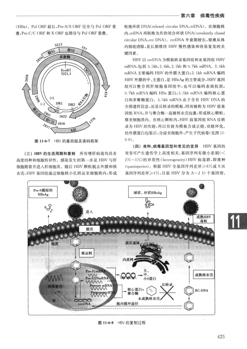 实用内科学++第14版++上_13442332_451-475.pdf_第2页
