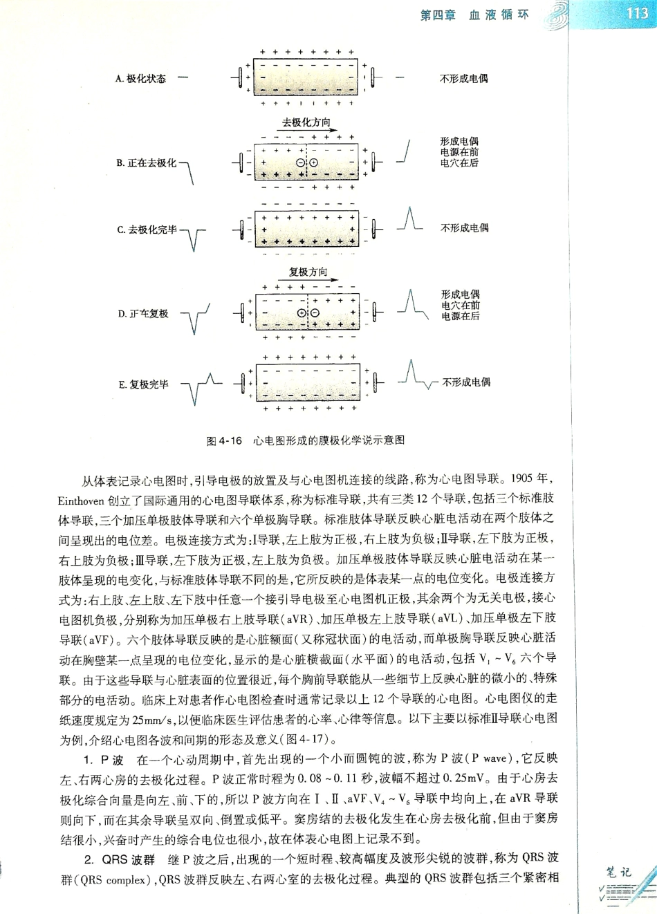 生理学（第八版）_121-128.pdf_第1页
