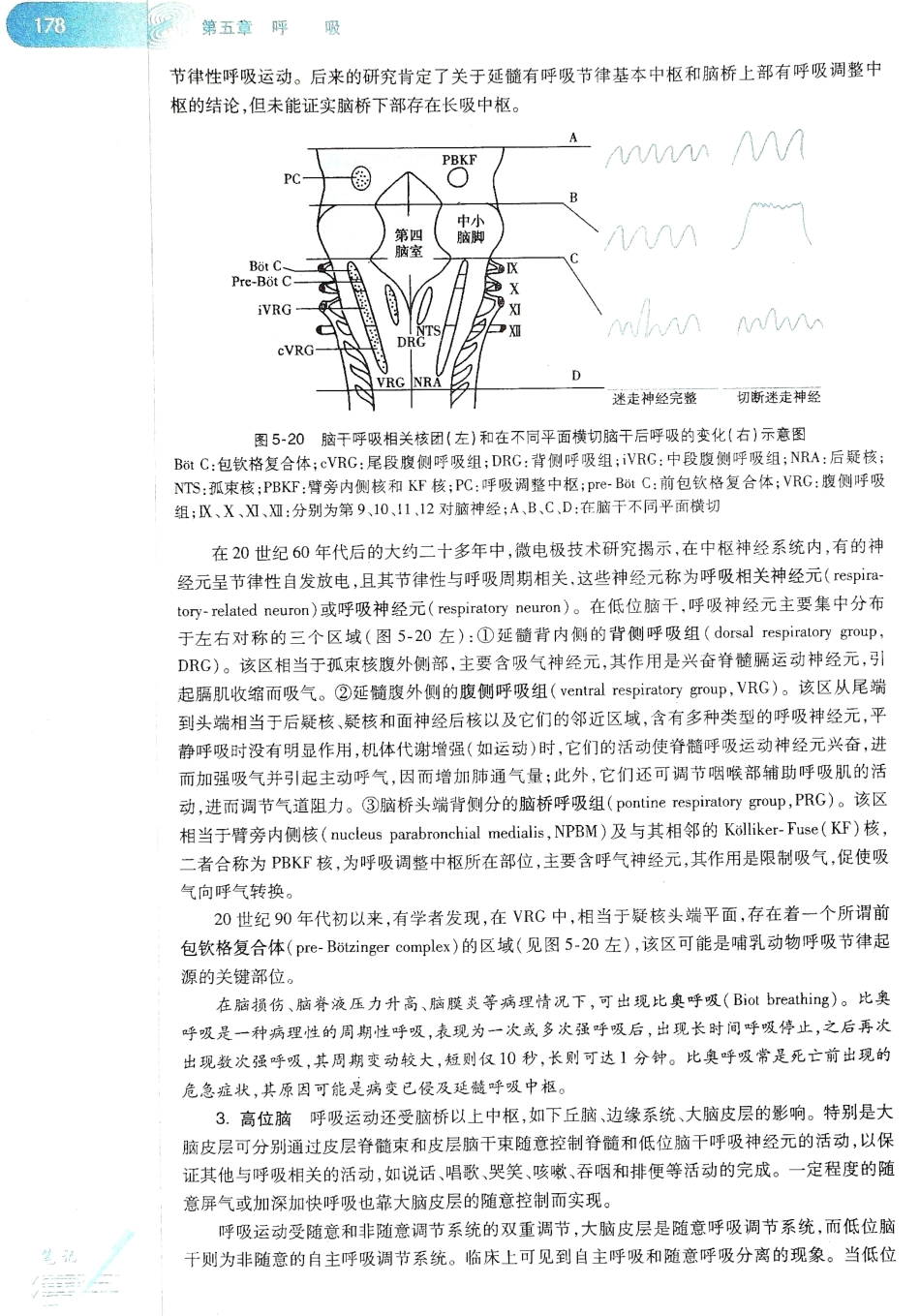 生理学（第八版）_185-192.pdf_第2页