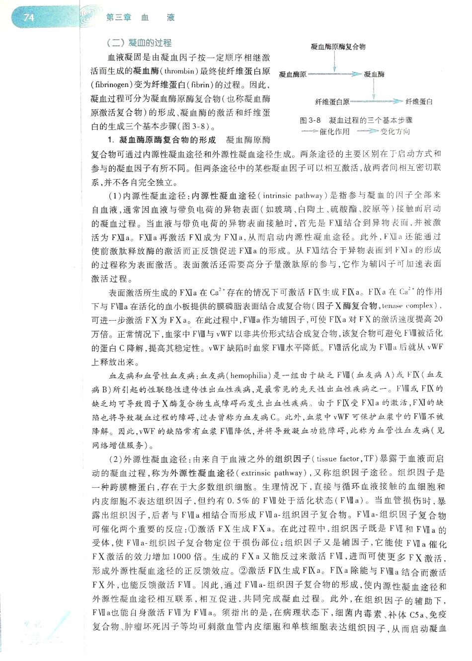 生理学（第八版）_81-88.pdf_第2页