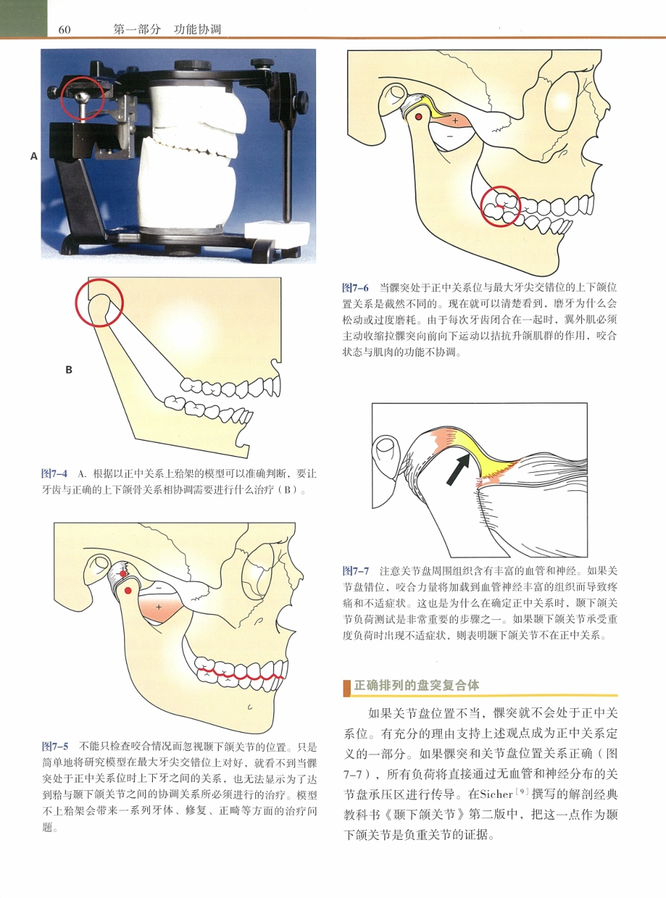 功能牙合学 从颞下颌关节到微笑设计2015年译(彩图)张豪_76-90.pdf_第3页