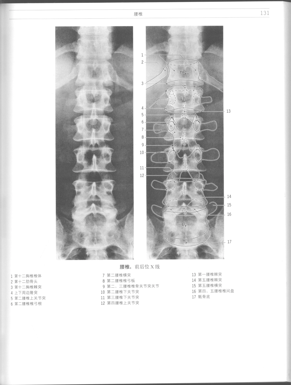 影像解剖学_11724881_133-144.pdf_第1页