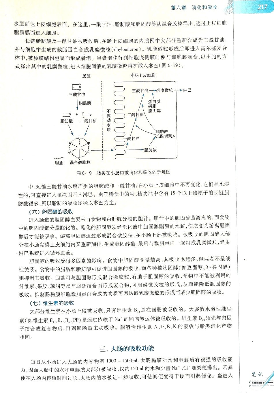 生理学（第八版）_225-232.pdf_第1页