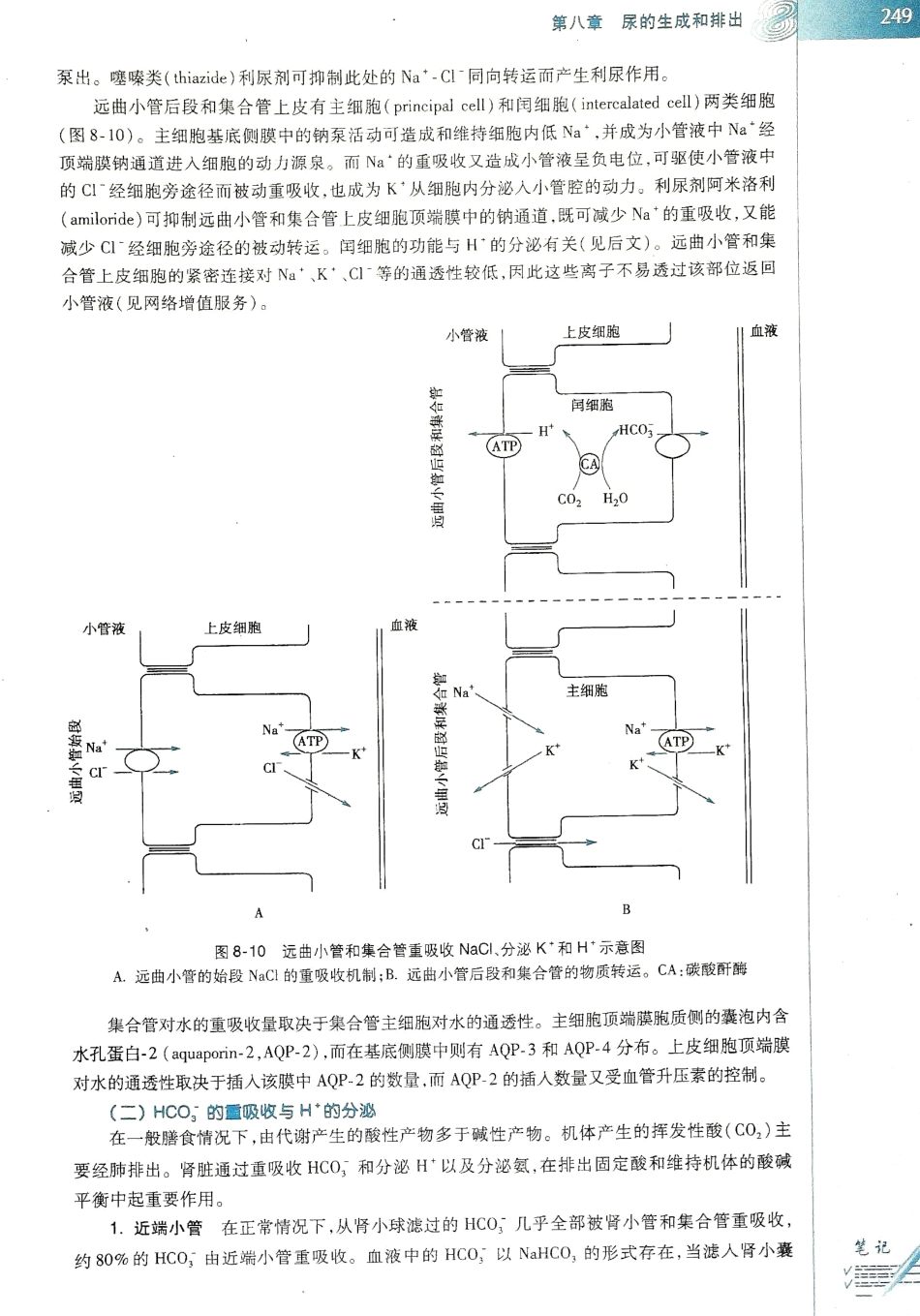 生理学（第八版）_257-264.pdf_第1页