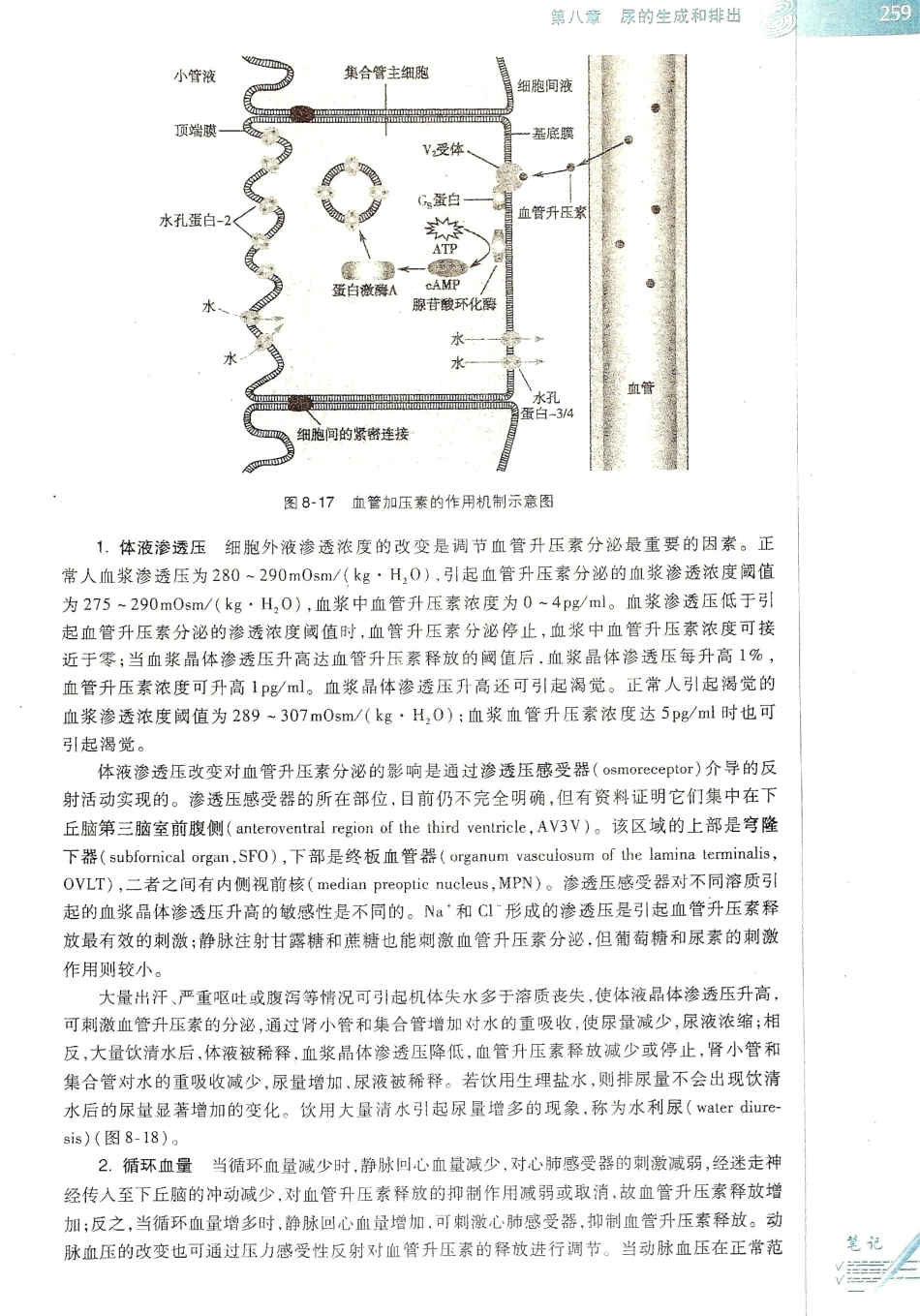 生理学（第八版）_265-272.pdf_第3页