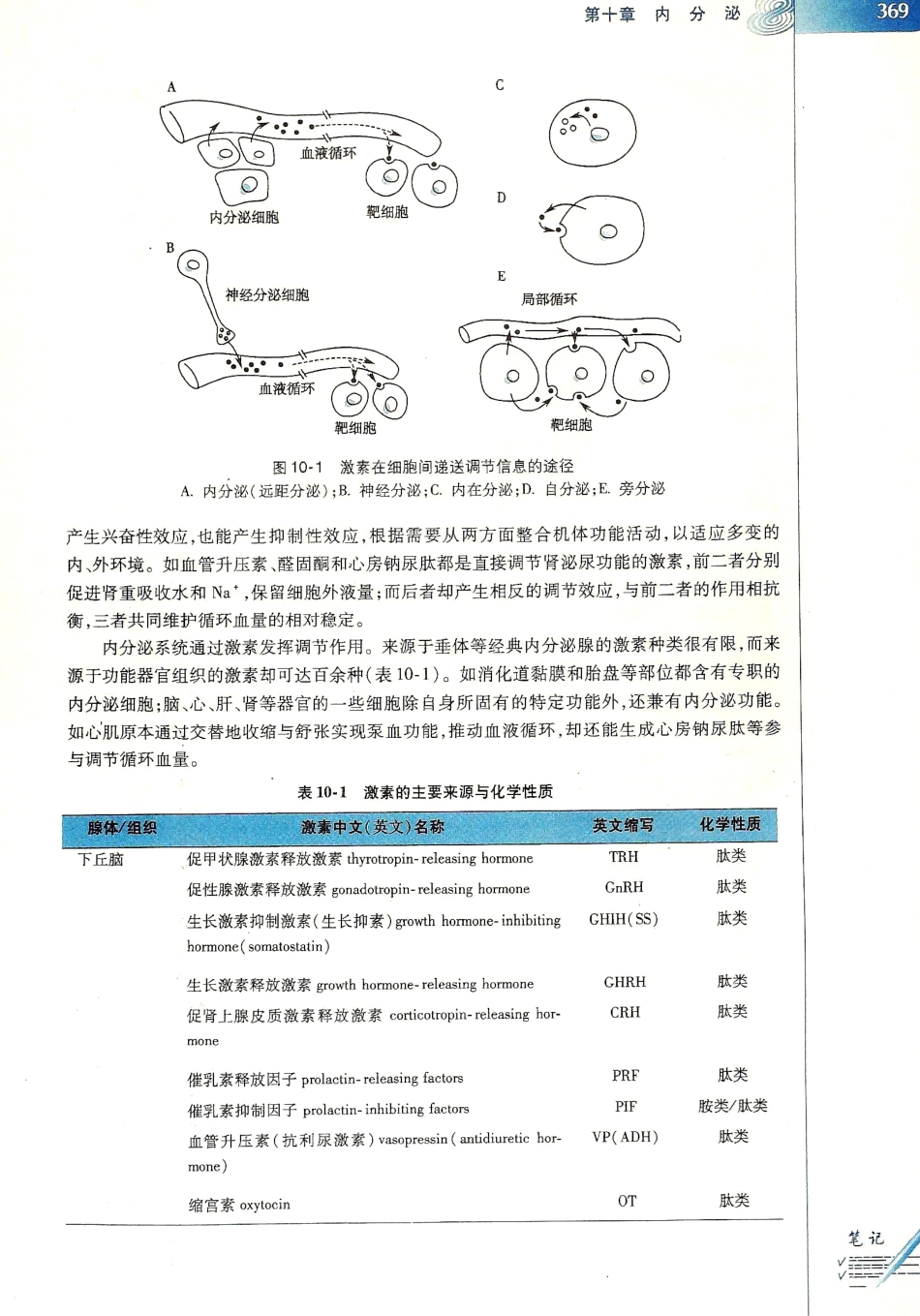 生理学（第八版）_377-384.pdf_第1页