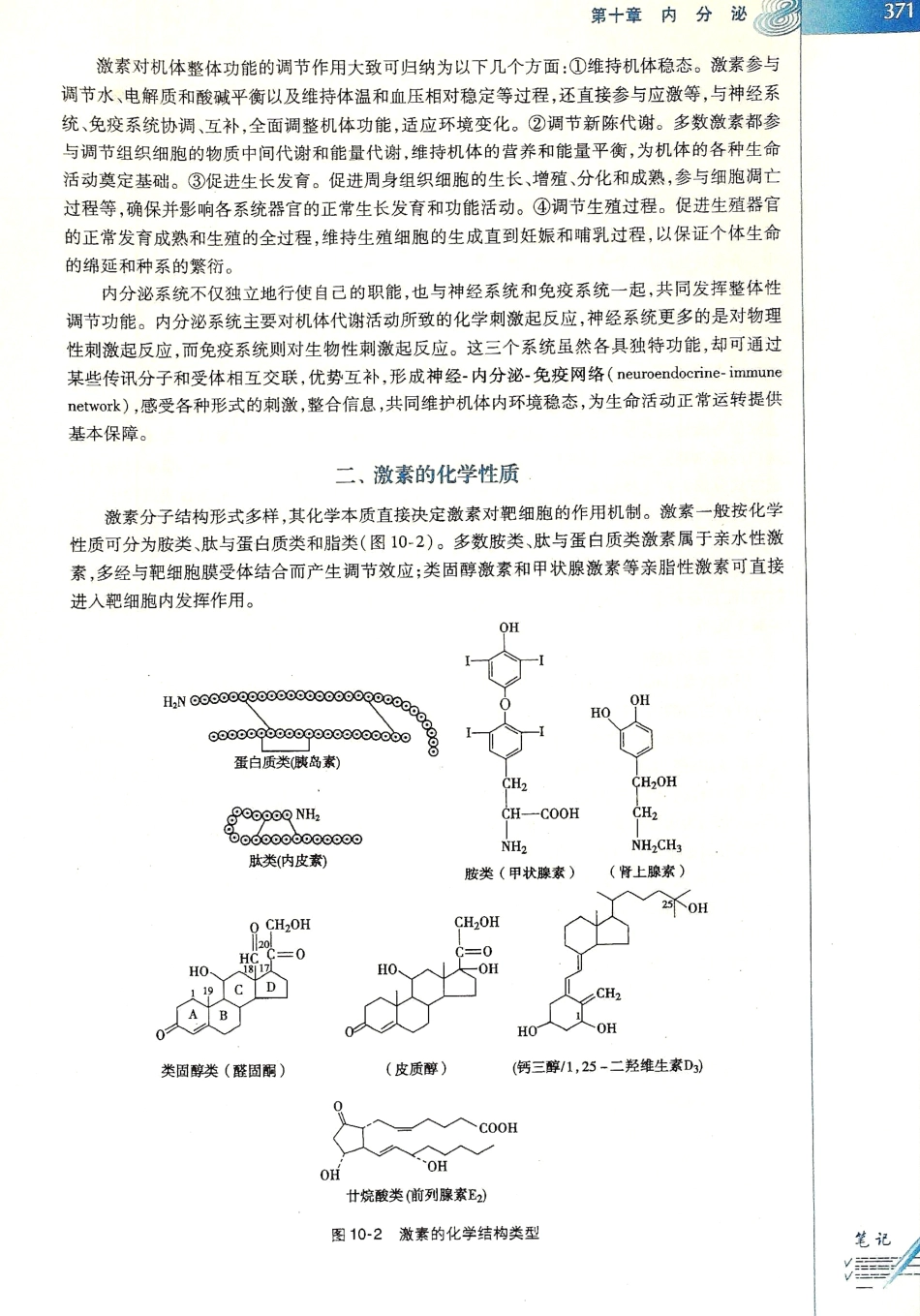 生理学（第八版）_377-384.pdf_第3页