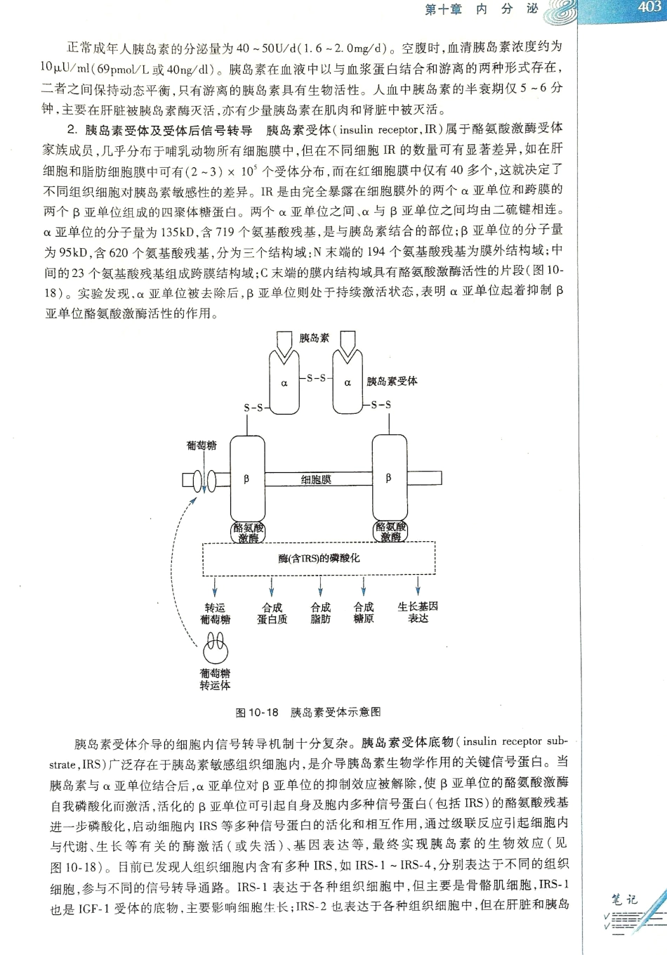 生理学（第八版）_409-416.pdf_第3页