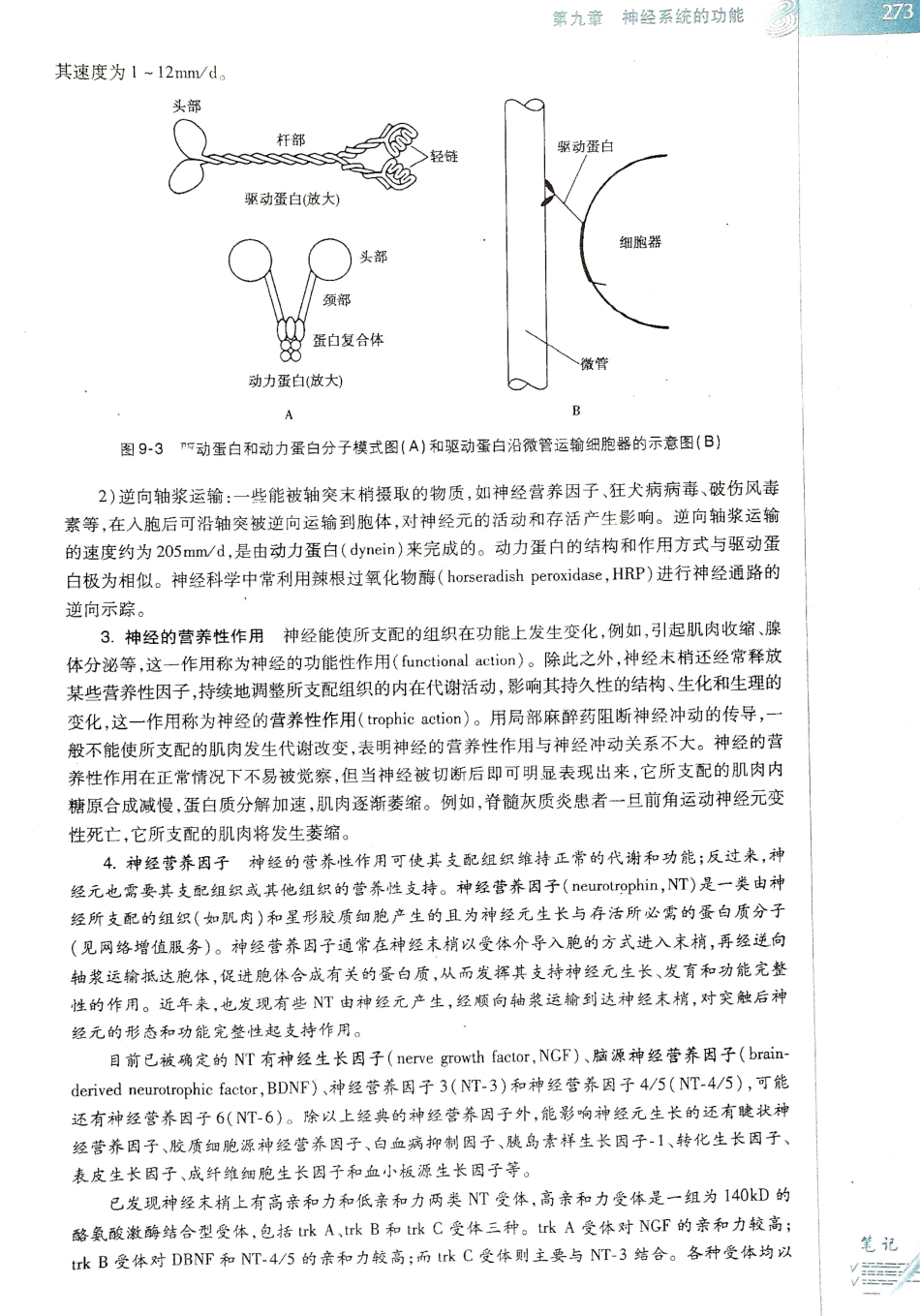 生理学（第八版）_281-288.pdf_第1页