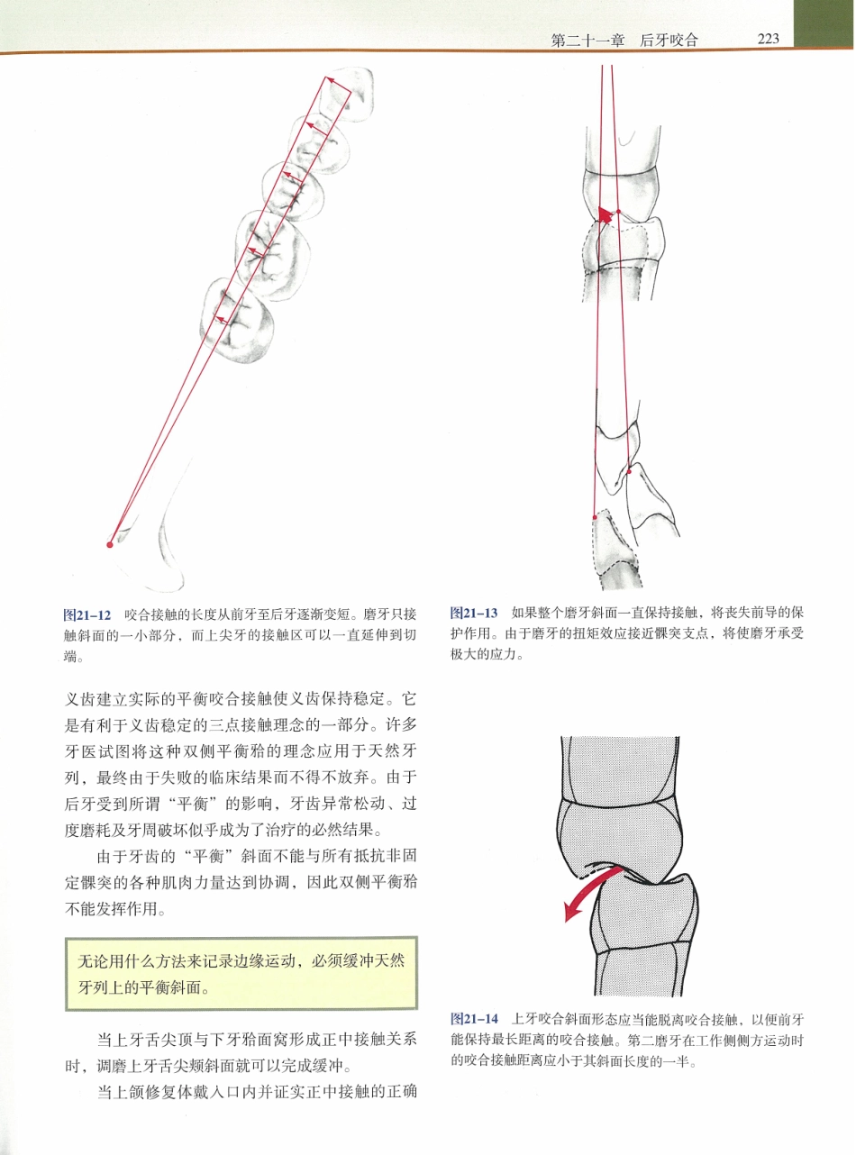 功能牙合学 从颞下颌关节到微笑设计2015年译(彩图)张豪_241-255.pdf_第1页