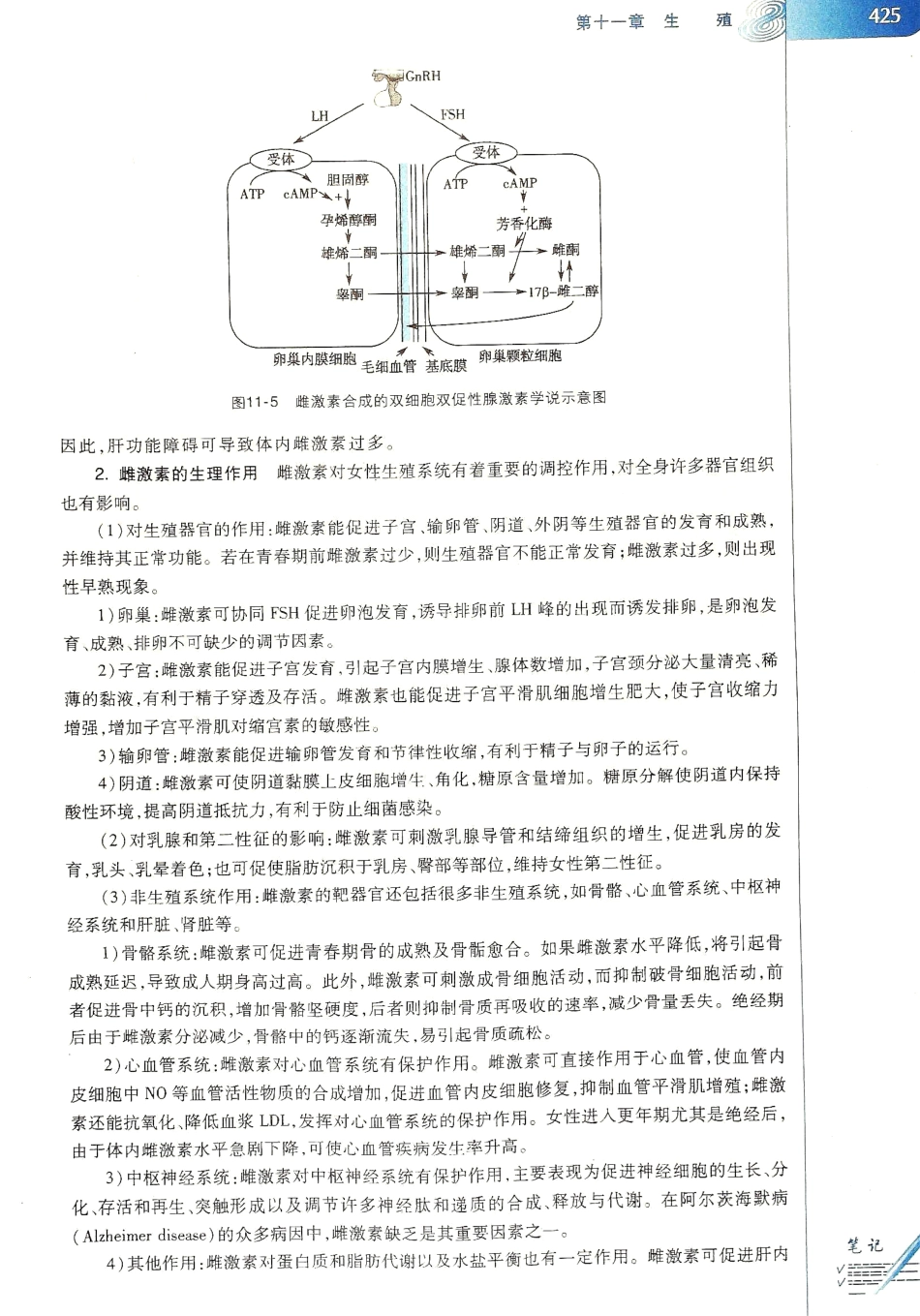 生理学（第八版）_433-440.pdf_第1页