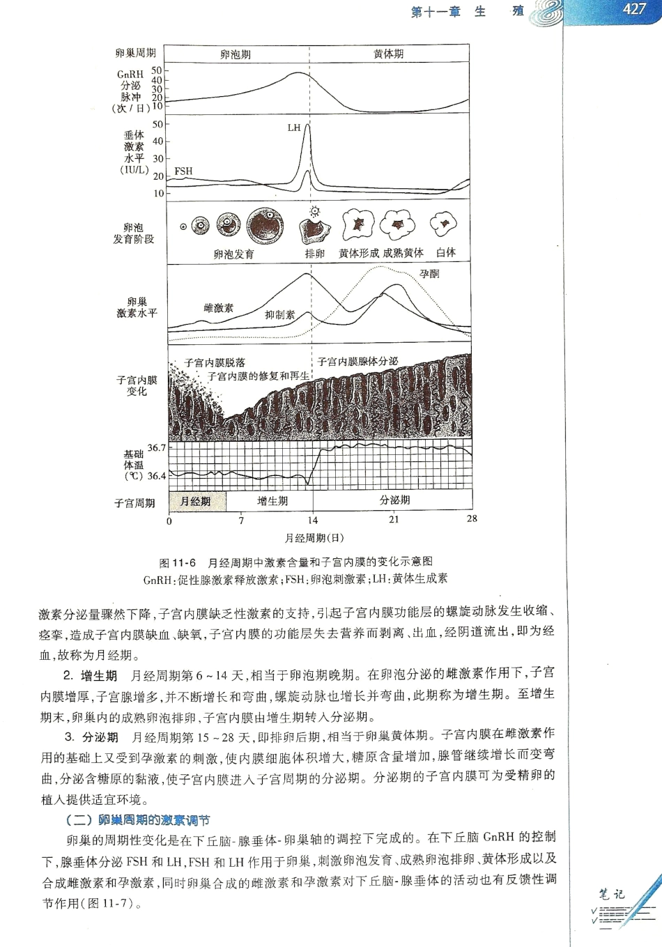 生理学（第八版）_433-440.pdf_第3页