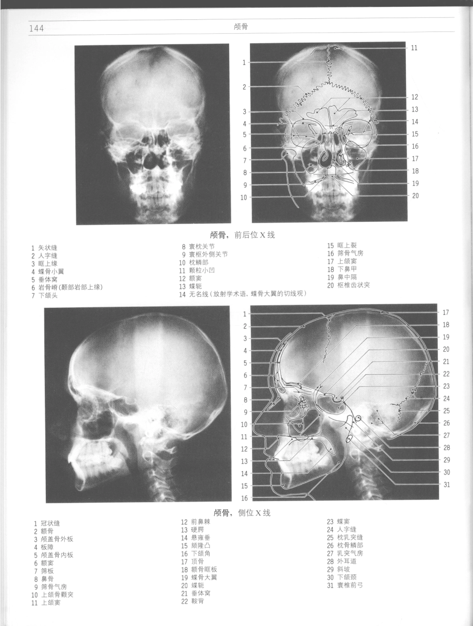 影像解剖学_11724881_145-156.pdf_第2页