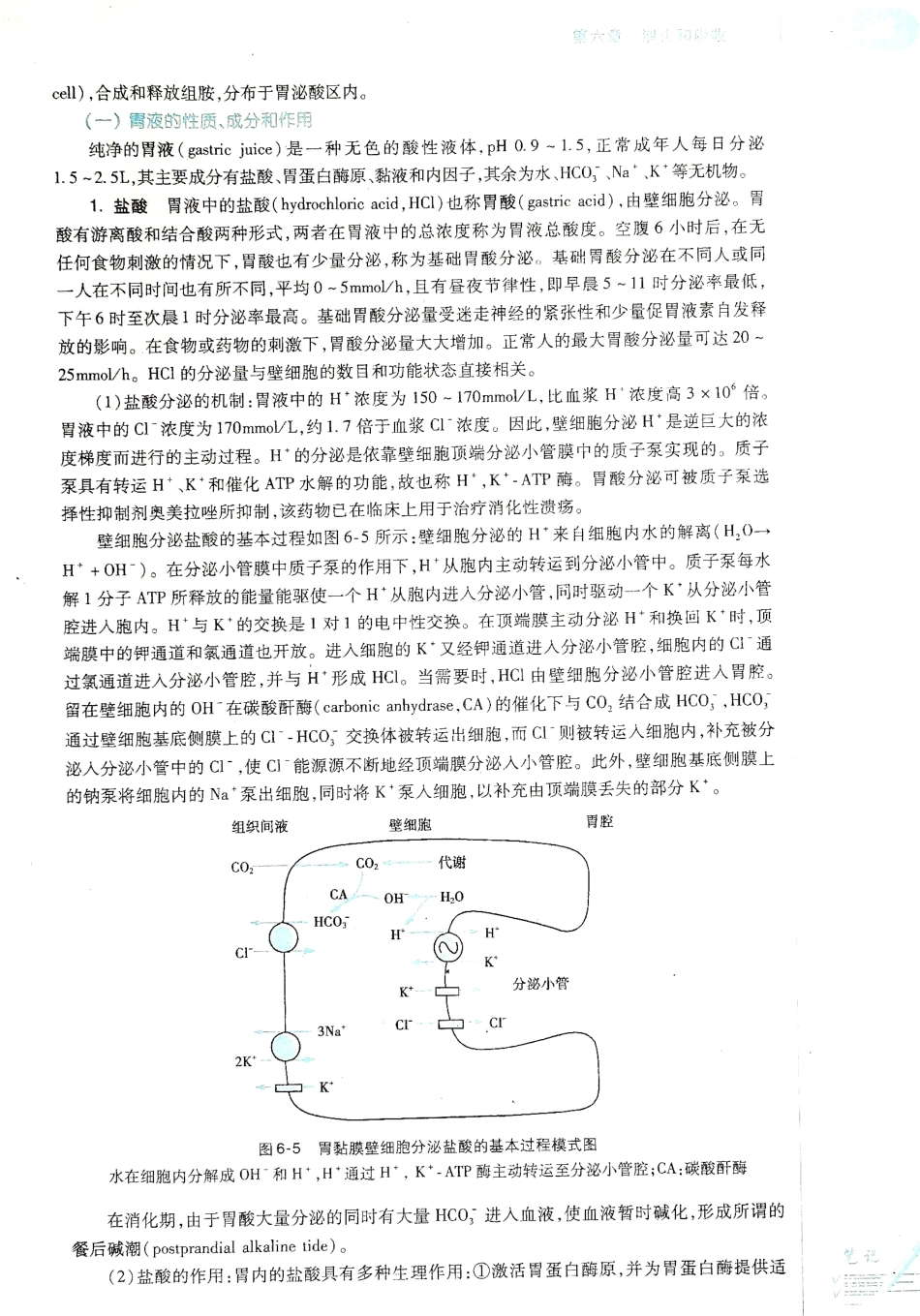 生理学（第八版）_201-208.pdf_第3页