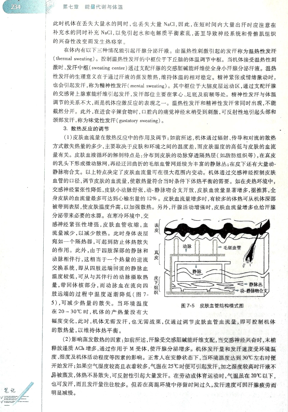 生理学（第八版）_241-248.pdf_第2页