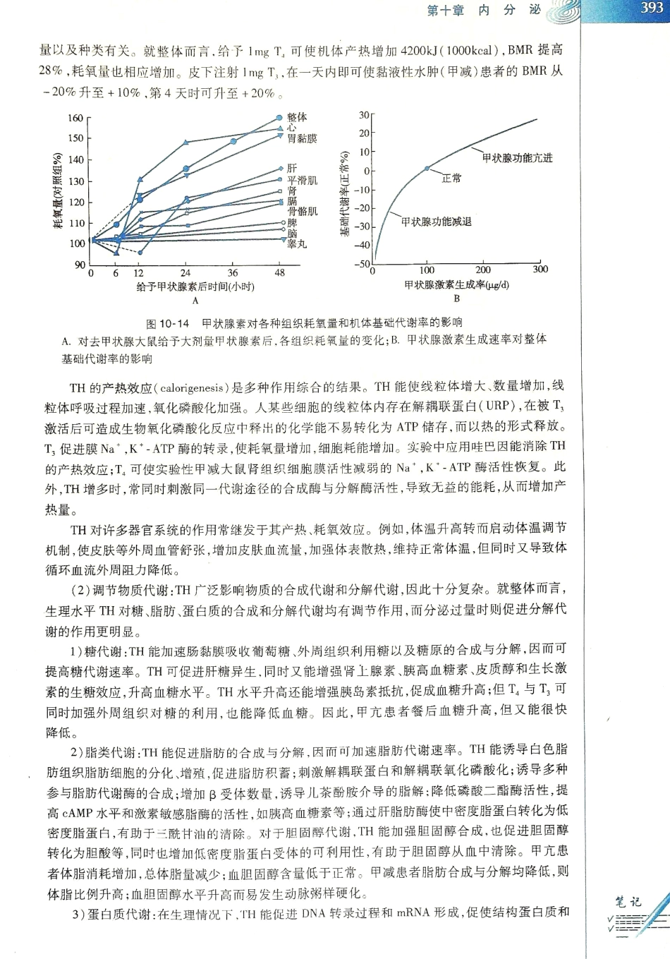 生理学（第八版）_401-408.pdf_第1页