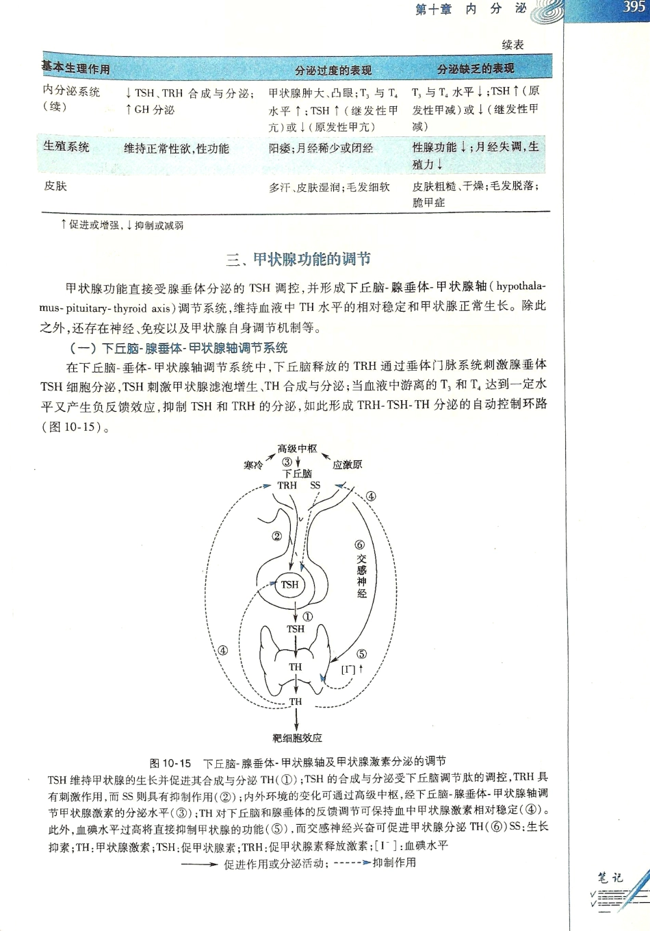生理学（第八版）_401-408.pdf_第3页