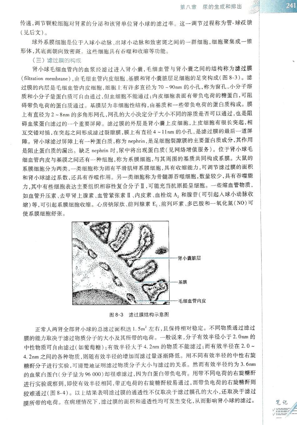 生理学（第八版）_249-256.pdf_第1页