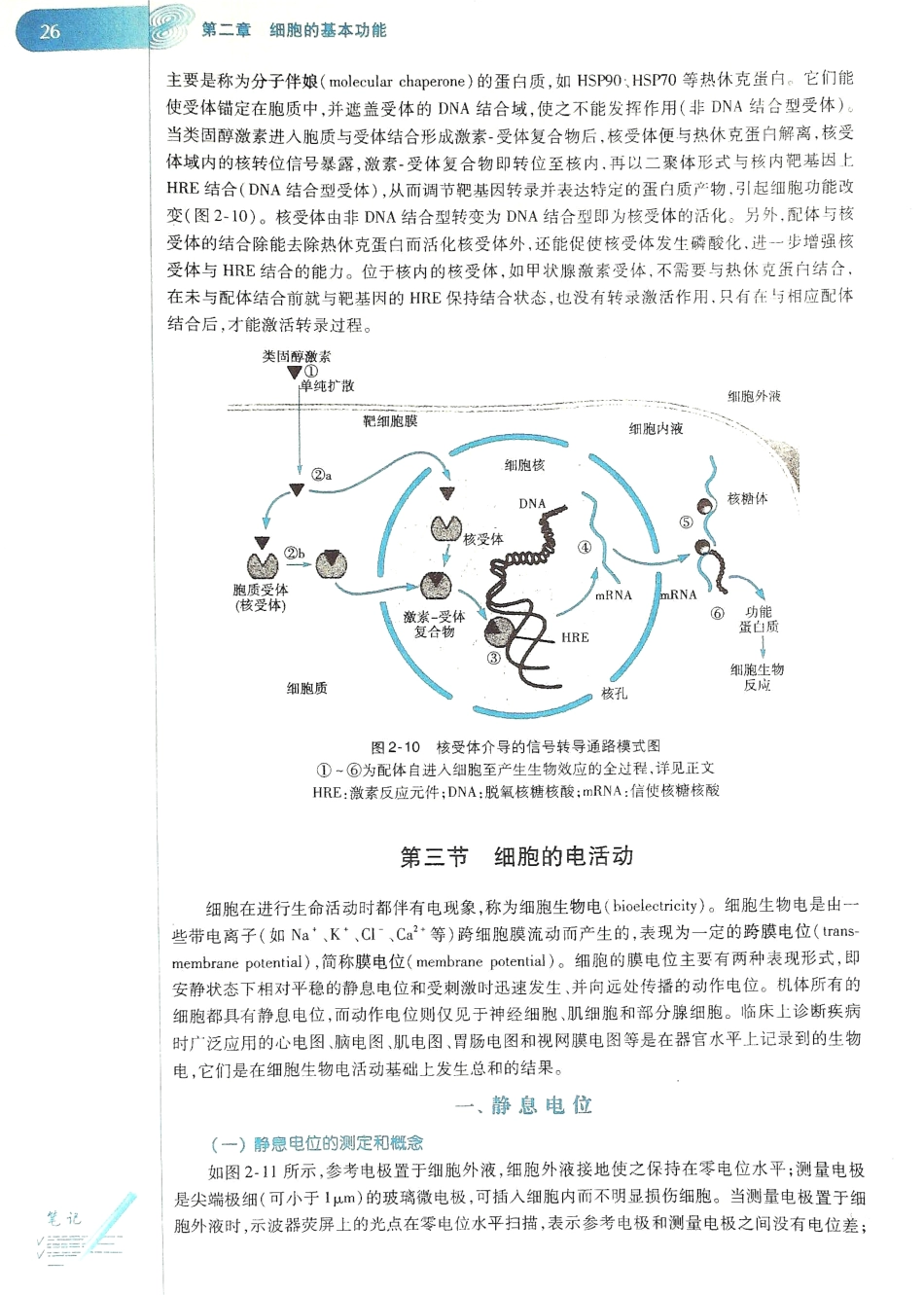 生理学（第八版）_33-40.pdf_第2页