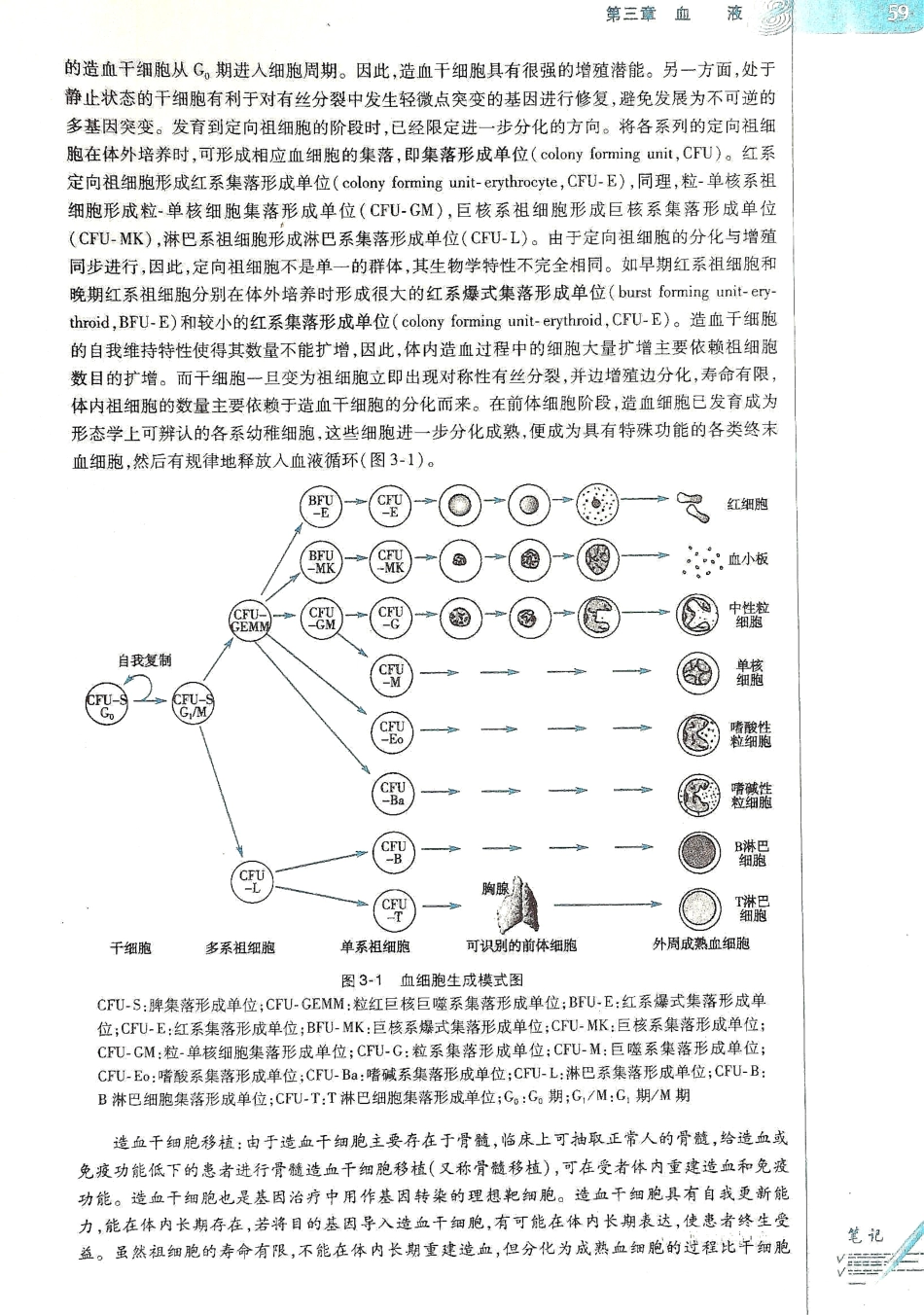 生理学（第八版）_65-72.pdf_第3页