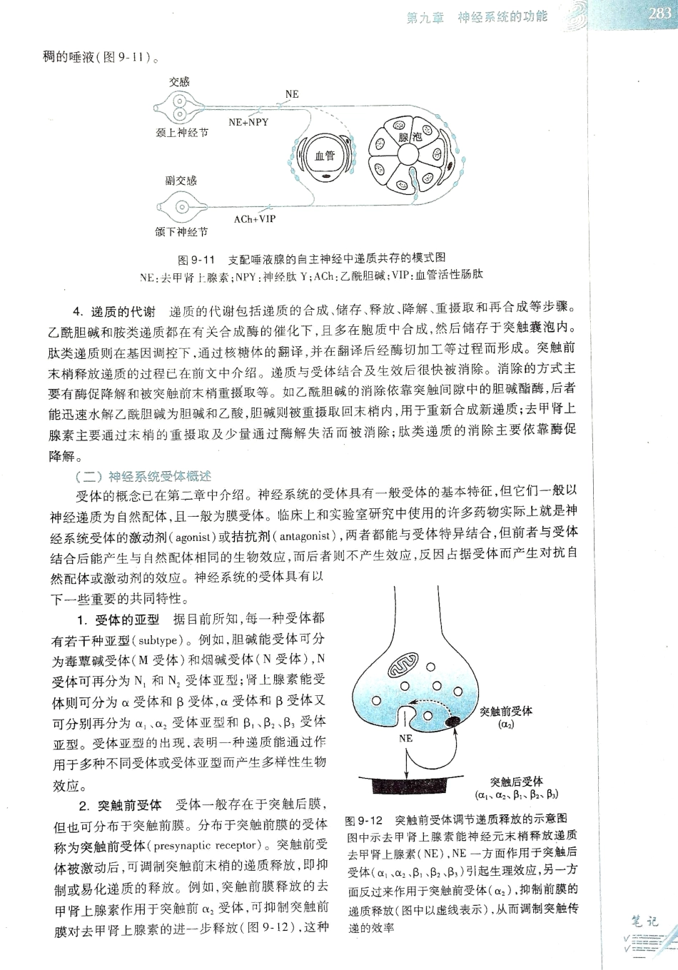 生理学（第八版）_289-296.pdf_第3页